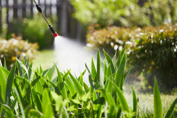 24/7 Emergency Mosquito Control experts in Hasley Canyon, CA