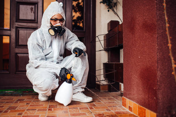 Reliable Mosquito Control contractor in Hasley Canyon, CA by Show Me Pest Control